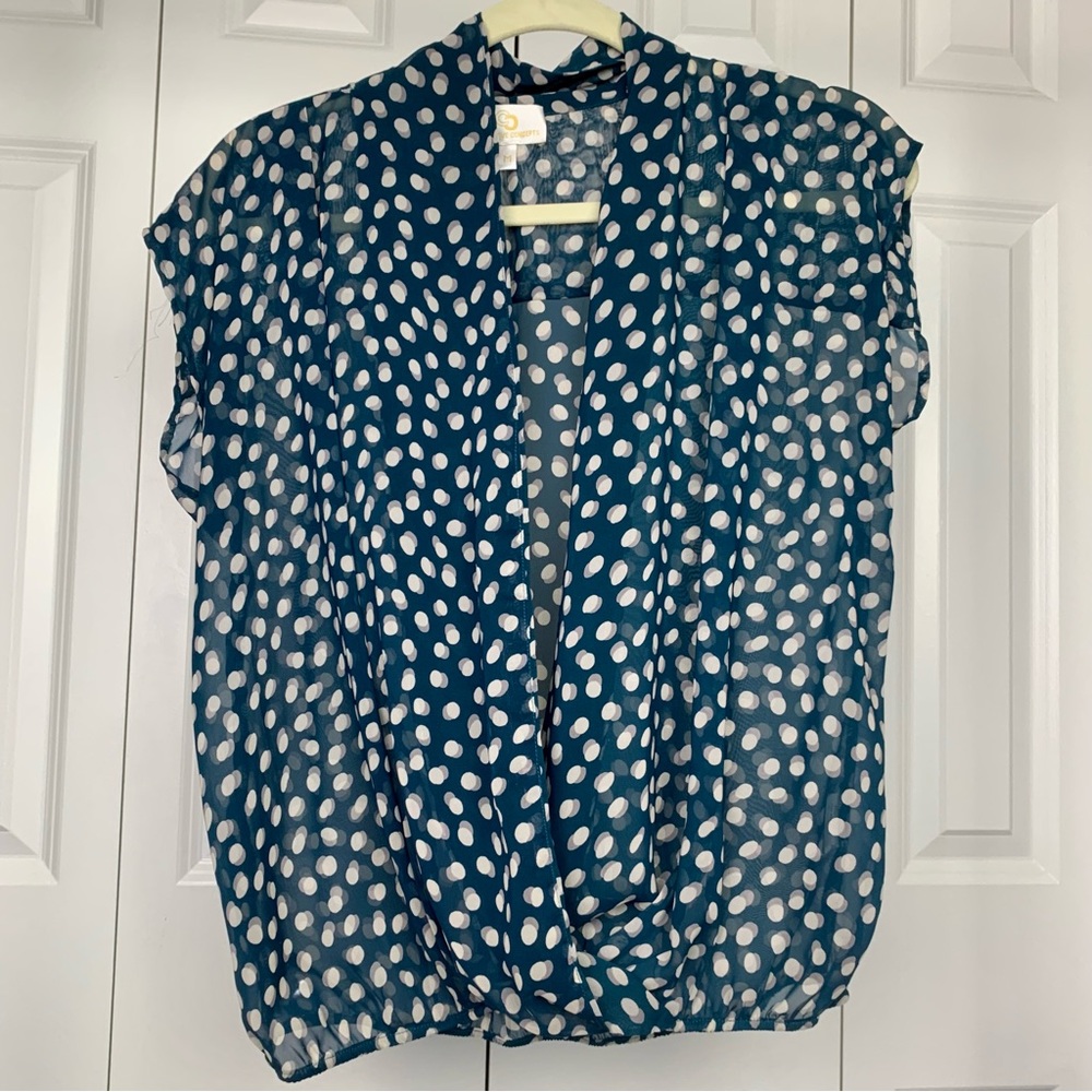 COLLECTIVE CONCEPTS Teal Sheer Blouse.